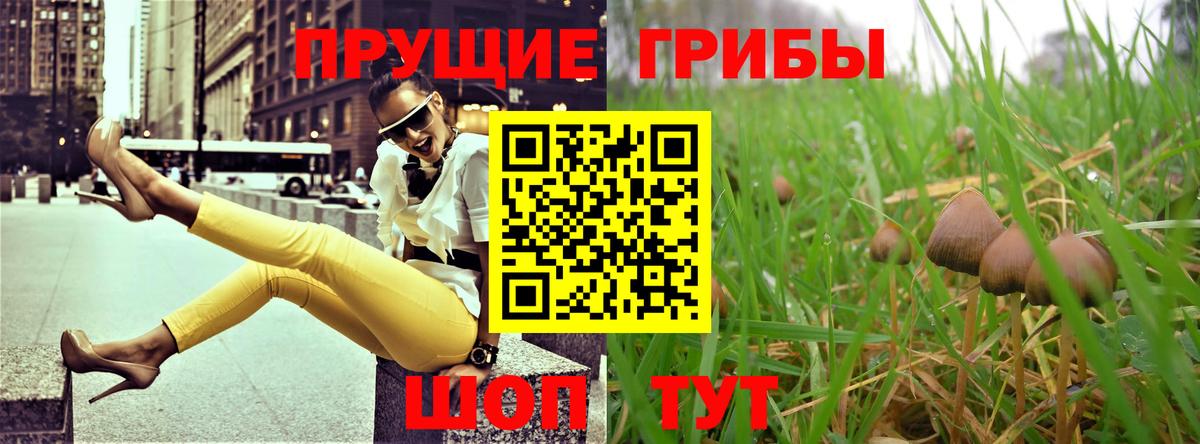 Галлюциногенные грибы мицелий Юрга