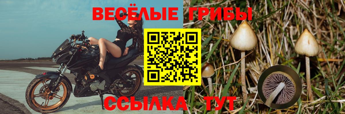 Псилоцибиновые грибы прущие грибы  Вход с VPN  Юрга 